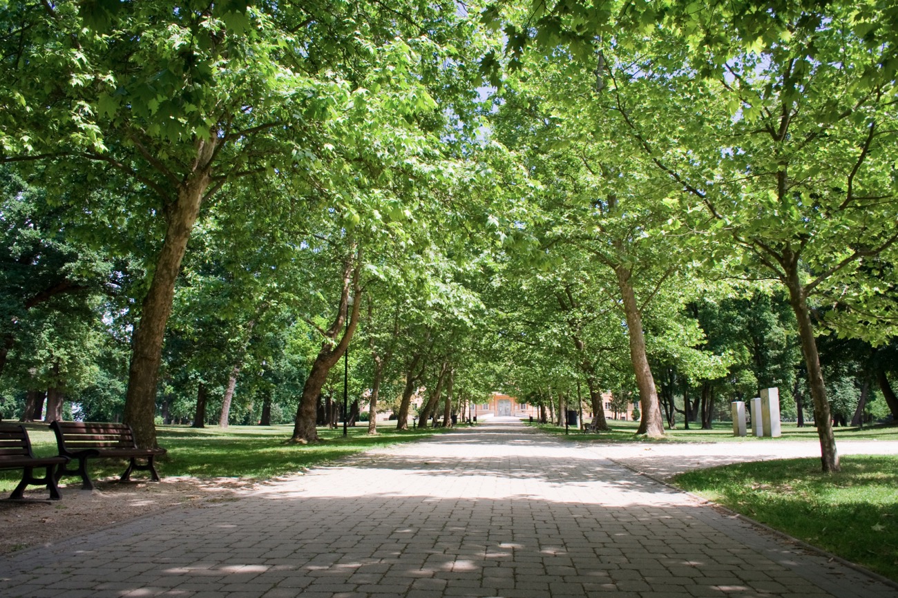 Zámocký park, Malacky Zdroj: OOCR Záhorie/Branislav Osuský