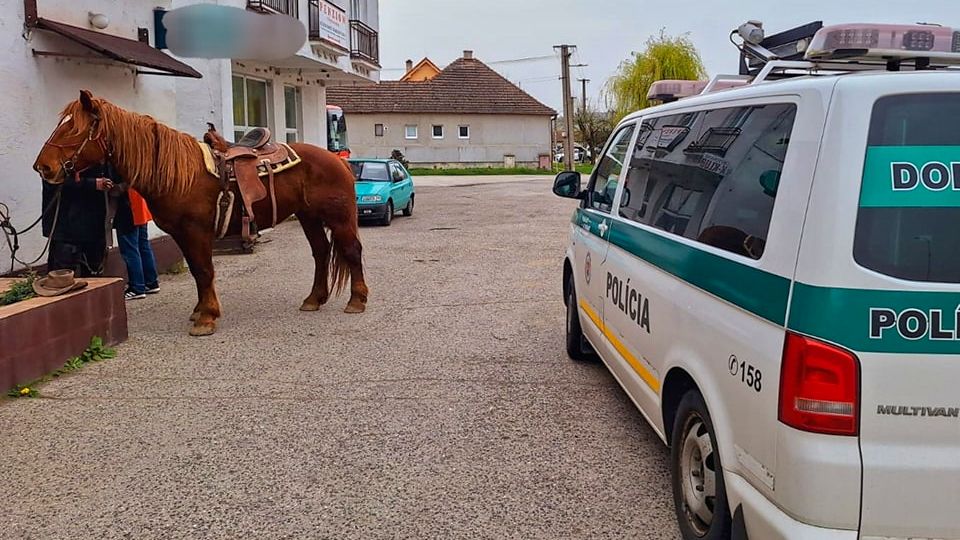 Kôň bez jazdca brázdil cesty na Záhorí. Zdroj: KR PZ Trnava
